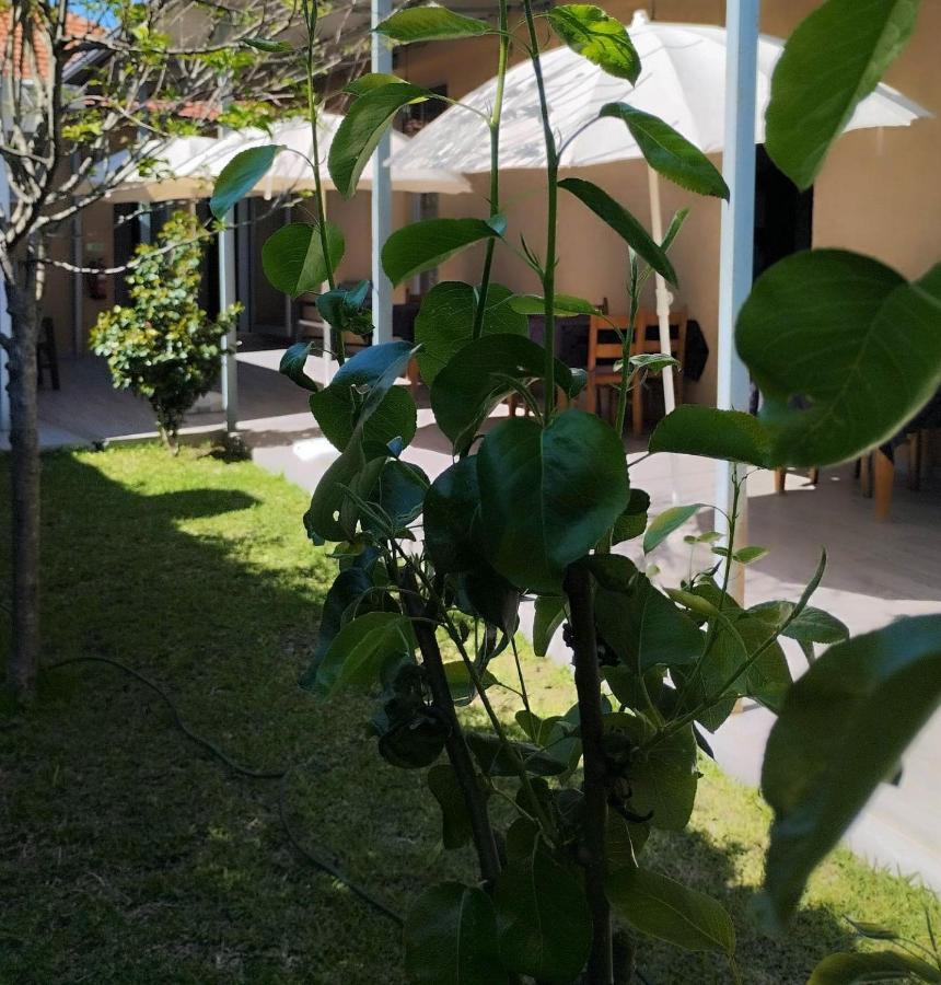 Saladestar Hotel วีลาโนวา เจ ฟามาลีเกา ภายนอก รูปภาพ